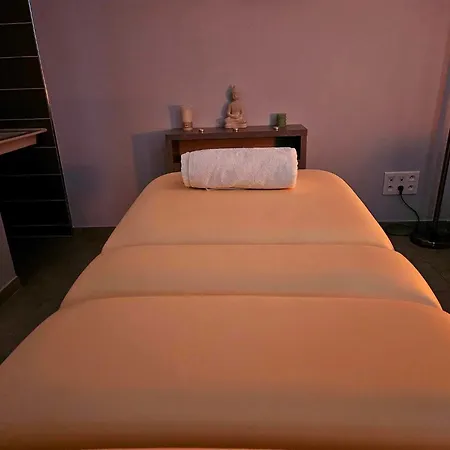 Chateau De La Marliere 3*