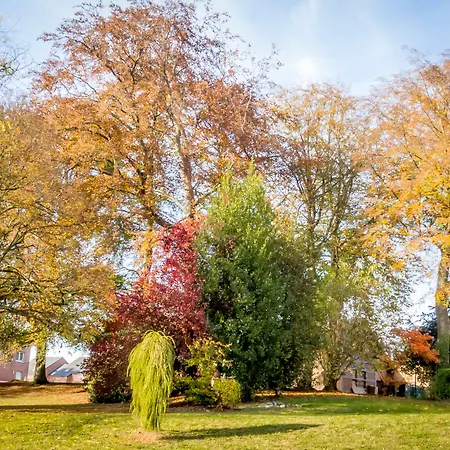 马里埃尔城堡酒店 酒店 Fourmies